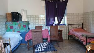 Lavoro in una piccola fattoria di mia proprietà, orto, vigneto ed uliveto