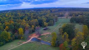 140+ acre regenerative farm raising beef, lamb, pork, chicken, duck, and turkey