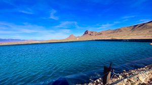 Désert, Nature & Partage à Olecactus