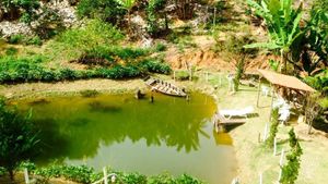 Educational Centre, Agritourism Destination, Smallholding