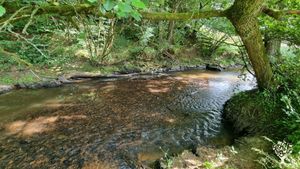 notre rivière pour se rafraichir l'été