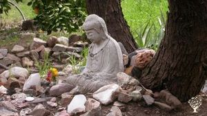 +20 year-old 16 acre community in a desert oasis