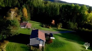 Traditional plant medicines on north-western shores of Lake Superior, on Anishinaabeg homelands.