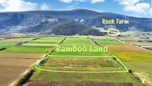 A young permaculture project in Greece (we just started 🤞)