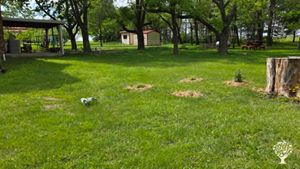 I run a progressive, eco-conscious, and inclusive homestead in rural Osage County, Kansas.