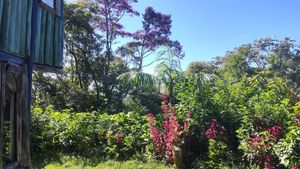 Permacultural life in the mountains