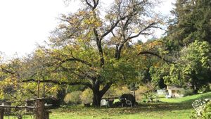 4th generation California farm located between Santa Cruz and Half Moon Bay