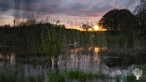Small old-fashioned farm  with various of animals and vegetables, based on the island of Funen.