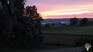 Family home and garden - rural