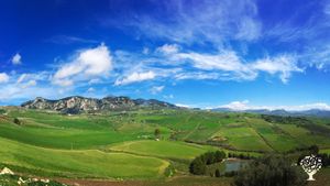 MAMATERRA Casa SanGiacomo è un’azienda agricola biologica in collina a 6 km da Sambuca di Sicilia