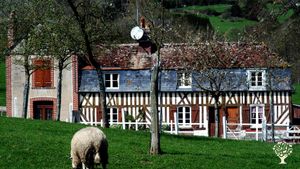 Ferme pédagogique et activité d'élevage et cidricole