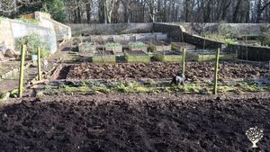 Vegetable garden winter 