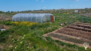 Smallholding