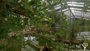 Giardino Botanico in Acquaponica