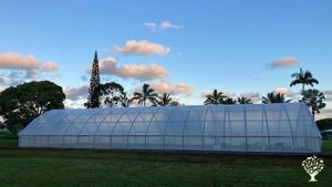 23-acre organically grown working vegetable farm near Hilo, farming to feed the people