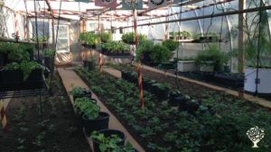 8-acre organic farming compound with sled dogs in Alaska