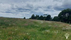 Horse Ranch, Mixed Farm, Family farm, Homestead, Woodlot