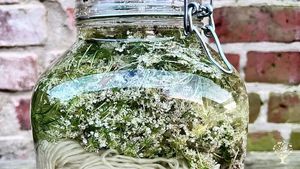 Viel Handwerk: wie hier mit eigenen Pflanzen Wolle färben