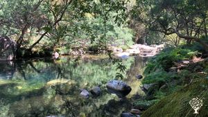 Permaculture homestead, family-run farm, finca de transmission & inspiración