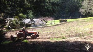 4th generation California farm located between Santa Cruz and Half Moon Bay