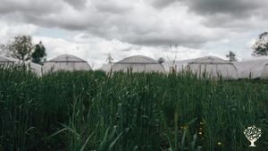 Un retour à la terre tout en s'enracinant à l'intérieur de nous