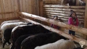 Pod Dračím kamenem