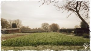 Communal living / cohousing