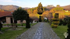 Green oasis with different animals in the beautiful north of Portugal 🇵🇹😊