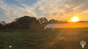 Certified Organic market farm that strives to use organic and regenerative farming practices