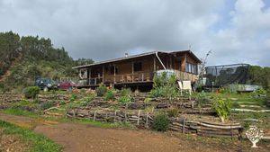 Organic farm in peaceful countryside focused on sustainability, community living, and hands-on learn