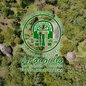 Fundación para el Desarrollo Alternativo