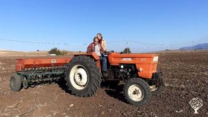 Cooparation , culture,  farming life , village project