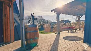 Join Our Family Homestead in the Dutch Countryside