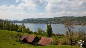 Demeterhof am Untersee im Kanton Thurgau