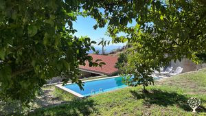 Small organic farm in northern Portugal developing an olive grove