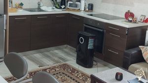 Olive trees South Crete for all