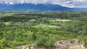 Jardin maraîcher biologique