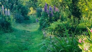 entrance to the forest garden