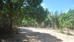 Educational Centre, Eco Retreat, Family farm