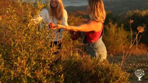 Family-owned Olive Oil & Pomegranate farm practicing Permaculture and rescuing stray cats and dogs