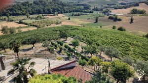 Azienda vitivinicola coltivazione naturale in Piemonte /Monferrato