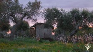 Ecovillaggio basato sulla permacultura