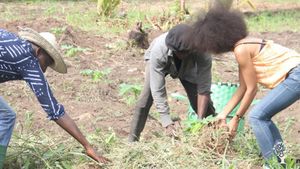 Educational Centre, Agritourism Destination, Smallholding, Market Garden, Fruit tree nursery