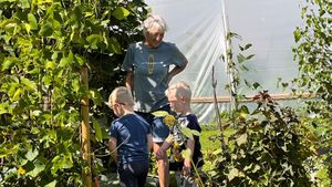 No dig vegetable garden, flower farm and campsite