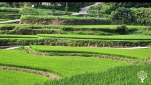 <GN124>남쪽빛 바다 농장 / Southern Light Sea Farm