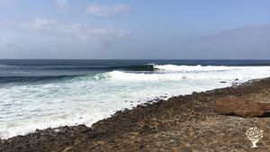 Quinta com produção regenerativa de cânhamo, frutas e legumes biológicos