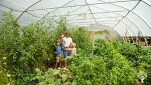 Remote island family homestead and large garden