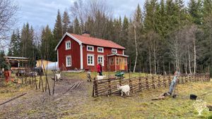 Building an old time fence in a typical northern Swedish style. 