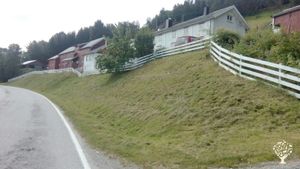 Melkebruk med ku og geit og eget meieri og støl