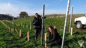 Communal living / cohousing